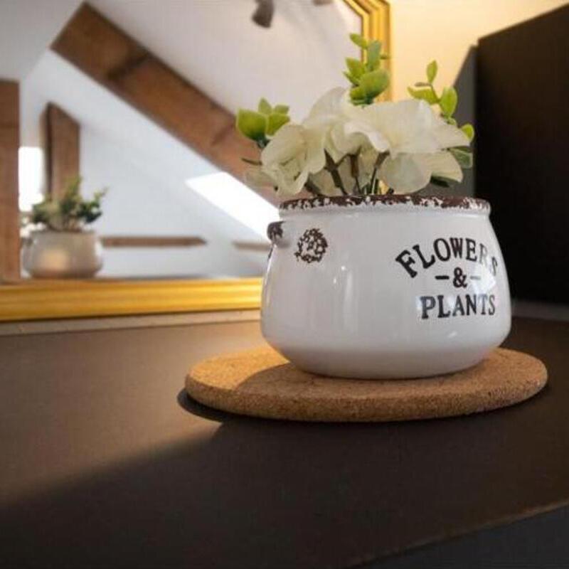 Photo of beautifully
arranged food